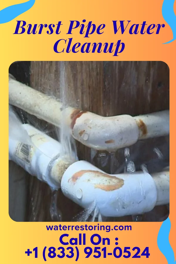 Burst Pipe Water Cleanup in Dunedin, FL