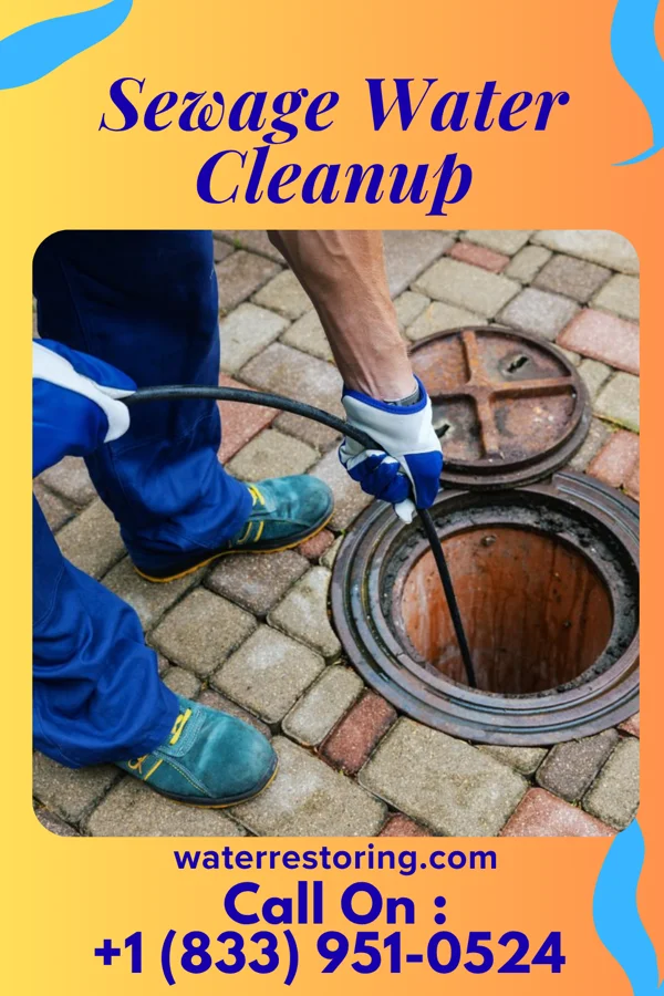 Sewage Water Cleanup in Dunedin, FL